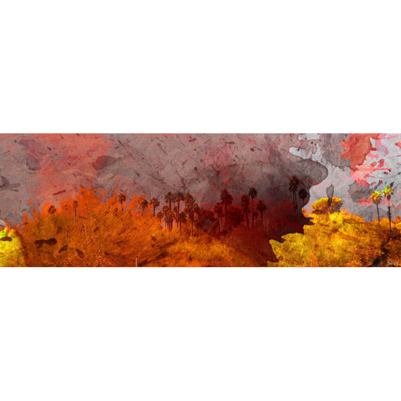 Parvez Taj - Wrapped Canvas Print, 38cm H x 114cm W