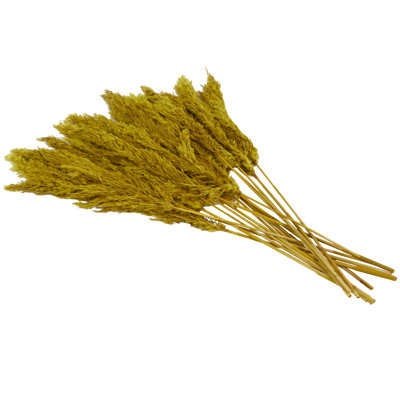 Pampas Grass Arrangement