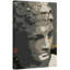 Parvez Taj - Wrapped Canvas Print-16670493
