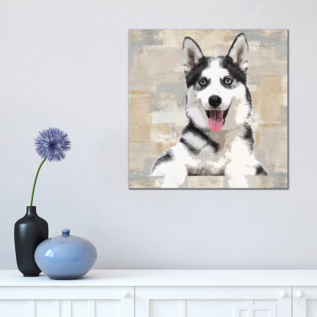 Siberian Husky