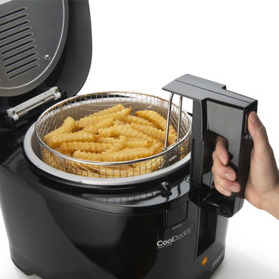 Professional Deep Fryer