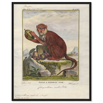 " Red Monkey " Acrylic Painting