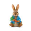 Peter Rabbit tenant une carotte
