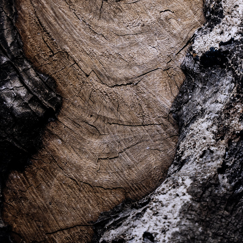 Char VI Print by La Gurvia Madaeras, 60" H x 40" W x 2.5" D