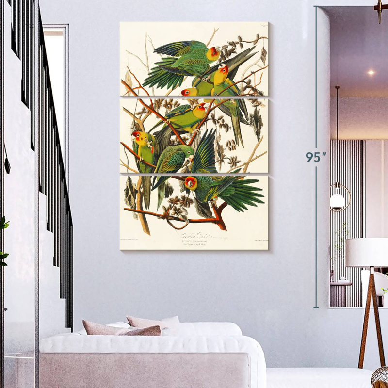 Brampt Carolina Parakeet, 74" H x 48" W