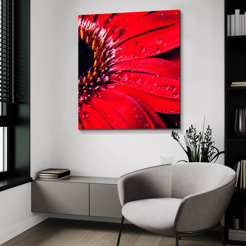 Epic Art «Red Gerbera With Waterdrops 02» par Tom Q «Red Gerbera With Waterdrops 02» par Tom Quartermaine