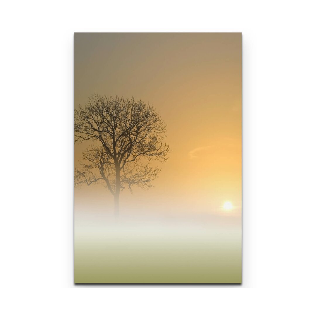 Leinwandbild Baum im Nebel