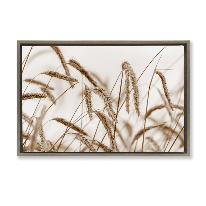 Toile flottante encadrée Windswept, Cadre flottant orme Montalcino, H 17 po x l 25 po