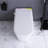 White Smart Toilet With Luminous Lighting
