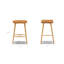 Valentino 25" Genuine Leather Wood Counter Stool-1752233734