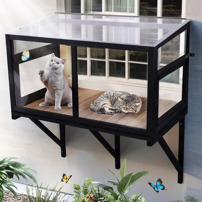 Boîte de fenêtre pour chat Cat
