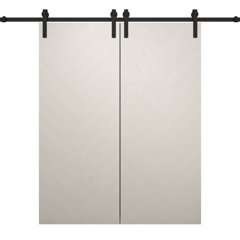 Porte de grange double moderne | Ego 5005 | Ensemble de rails | Portes intérieures solides, Chêne blanc peint, 60 po x 84 po