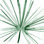" Palm I " by Melissa Wang Painting Print
