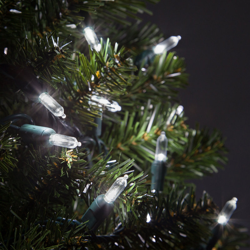 25.5' Steady LED String Lights, Cool White