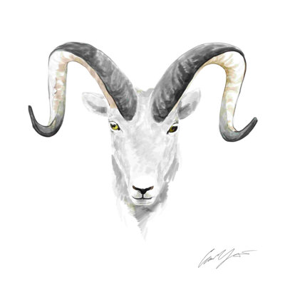 " Ram "