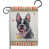 Boston-terrier