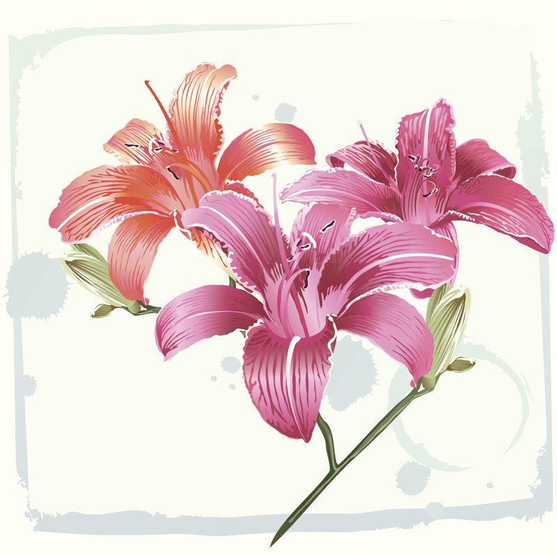 Lily Flowers On Grunge Blue Background - Wrapped Canvas Print, 91cm H x 91cm W x 3.8cm D