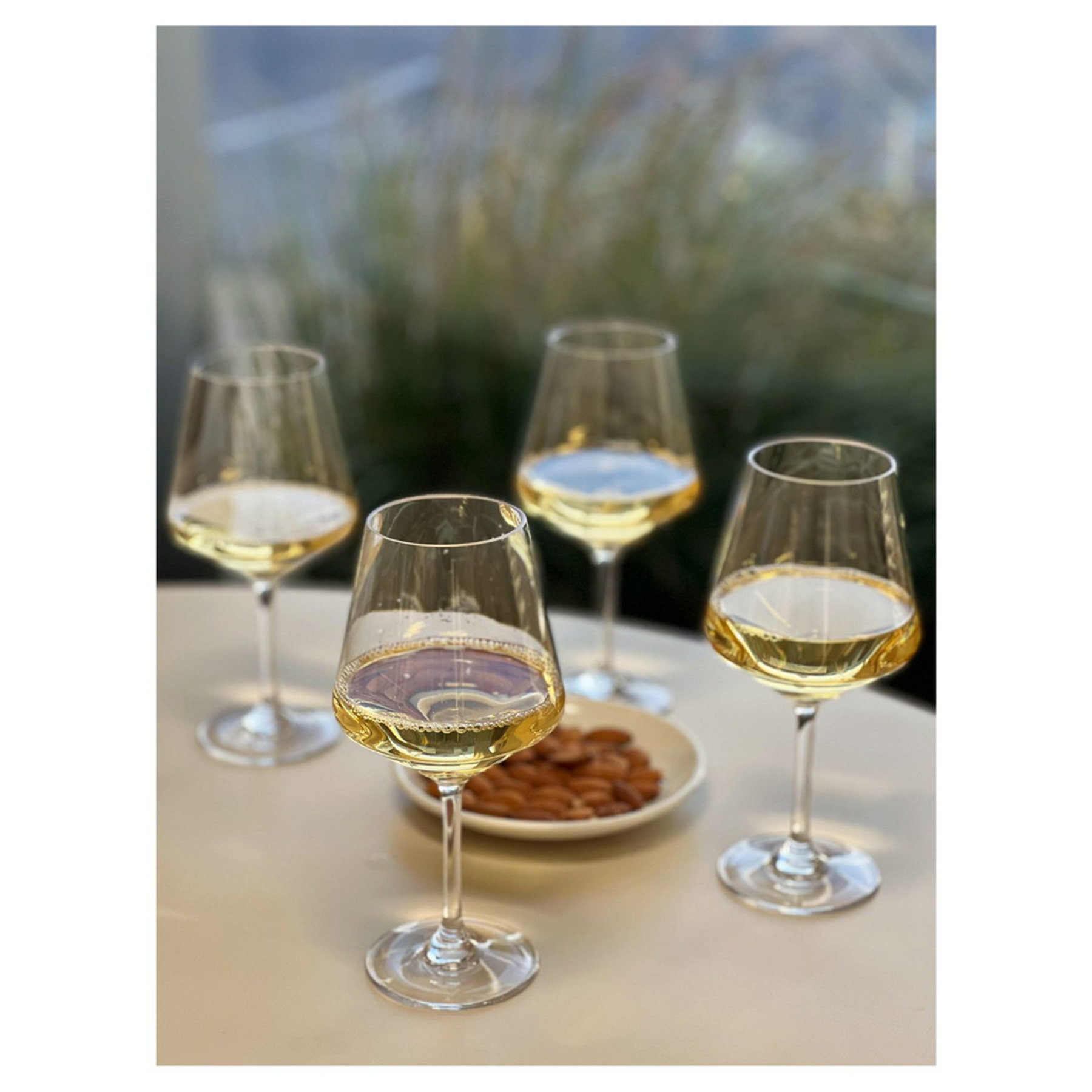 Brayden Studio Wine Glasses - Wayfair Canada