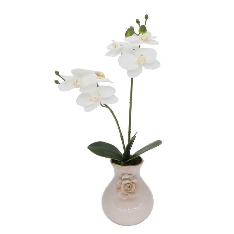 Orchids Arrangement in Vase