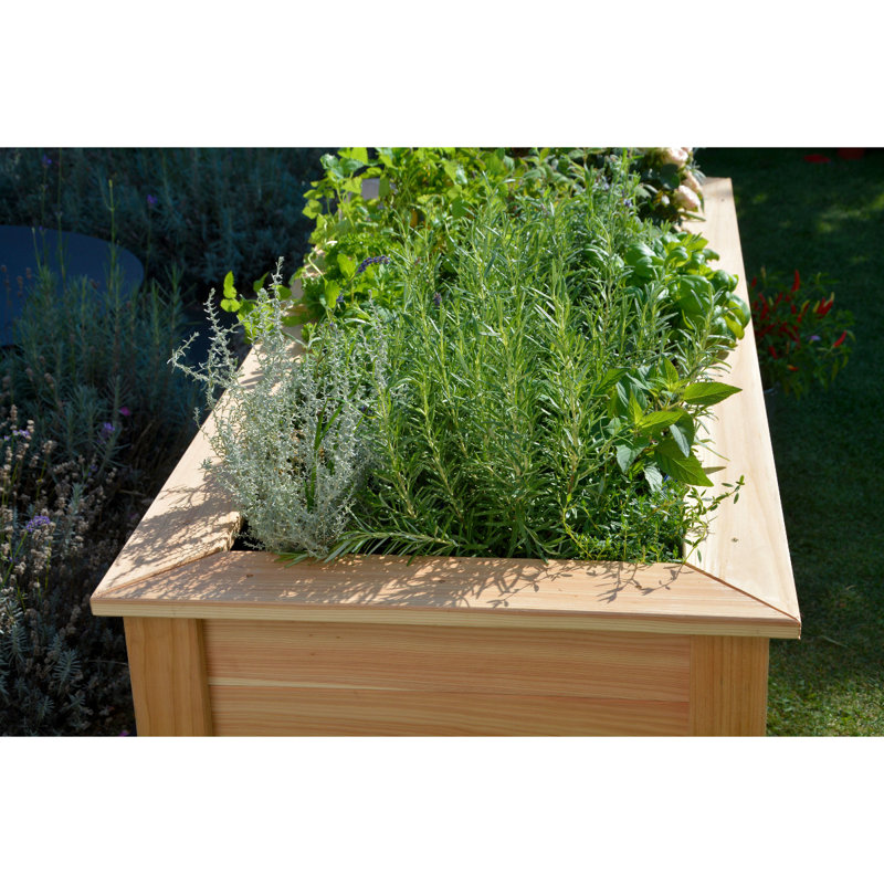 Aakif Wood Raised Garden Bed