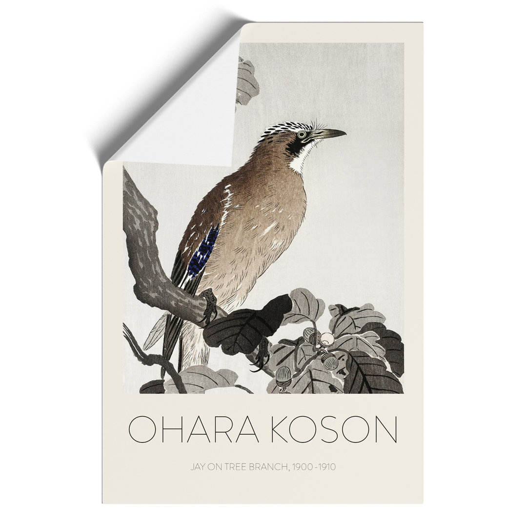 Jay on a Tree Branch Print by Ohara Koson - Frameless Print