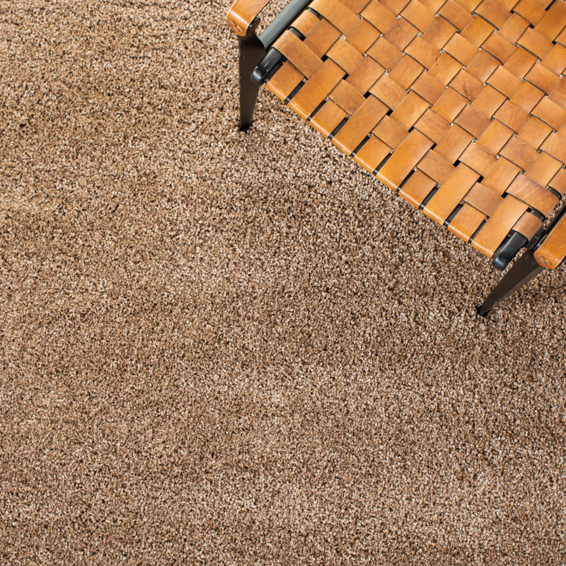 Assar Area Rug, Rectangle 8' x 10', Dark Beige