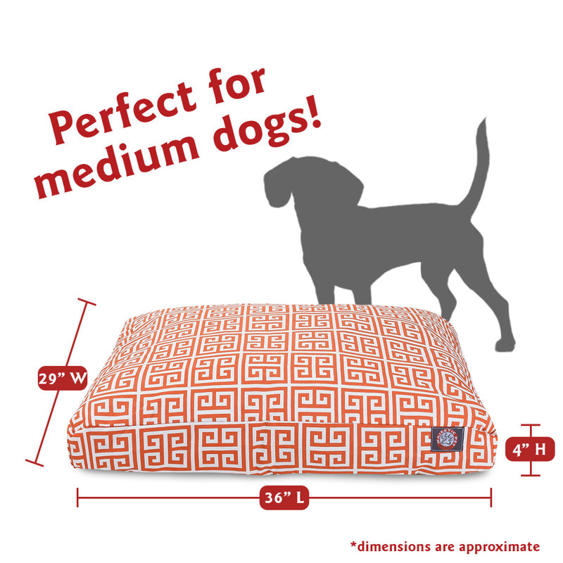 Coussin orthopédique tours, Orange, Moyen (l 29 po x P 36 po x H 5 po) ;