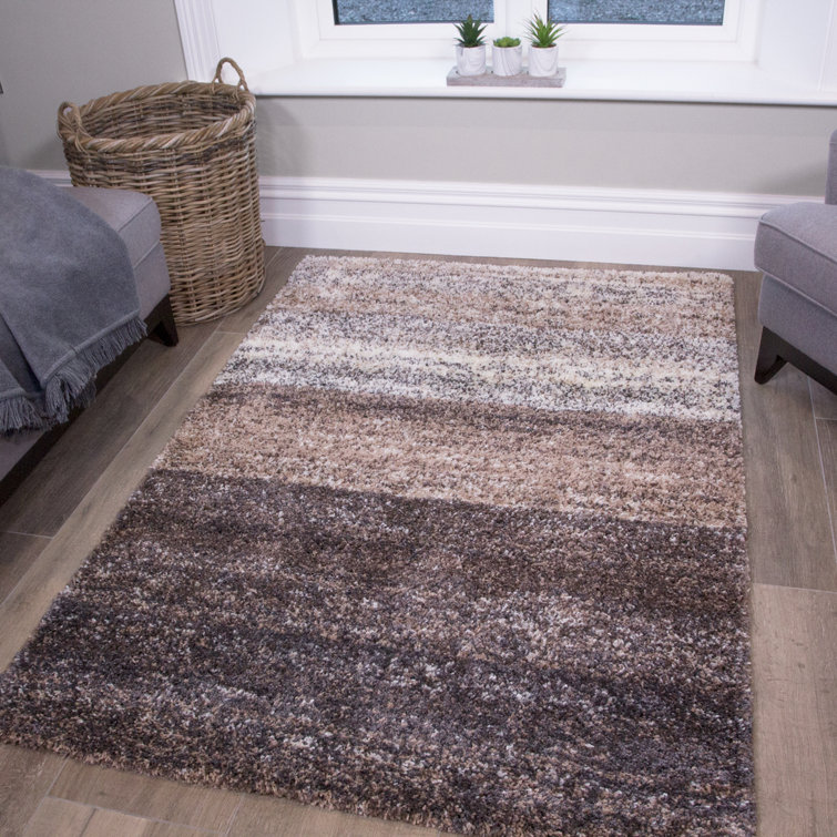 Reegan Striped Shag Area Rug