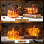 Halloween Decorative Accent