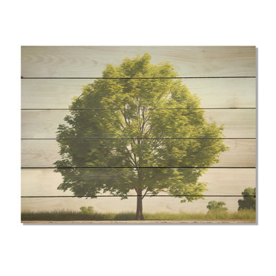American Tree Basswood Elegance - Art sur bois de pin d'Amérique, sur bois de pin naturel