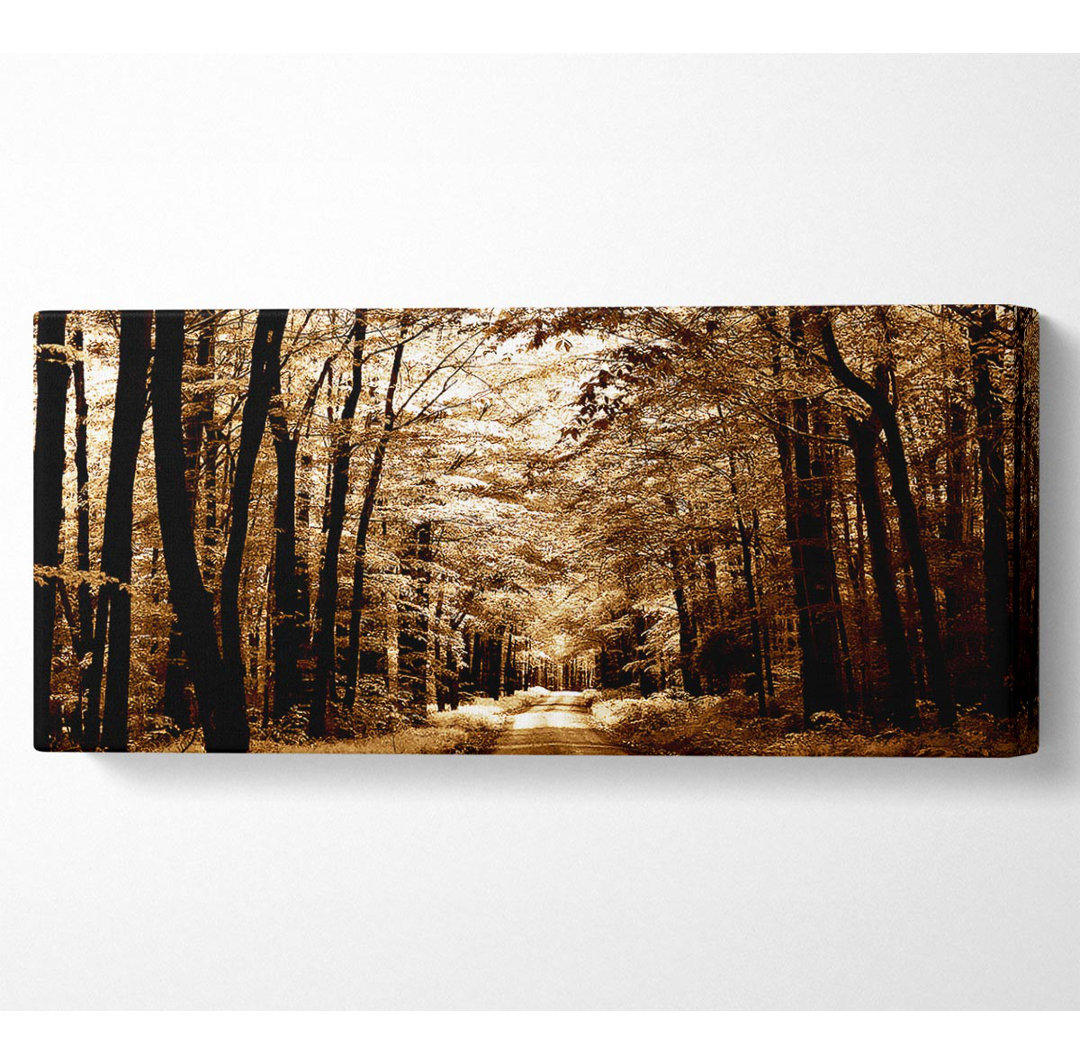 Hidden Chocolate Forest Road - Kunstdrucke auf Leinwand - Wrapped Canvas