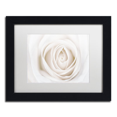 « white rose », reproduction de photo sur toile encadrée