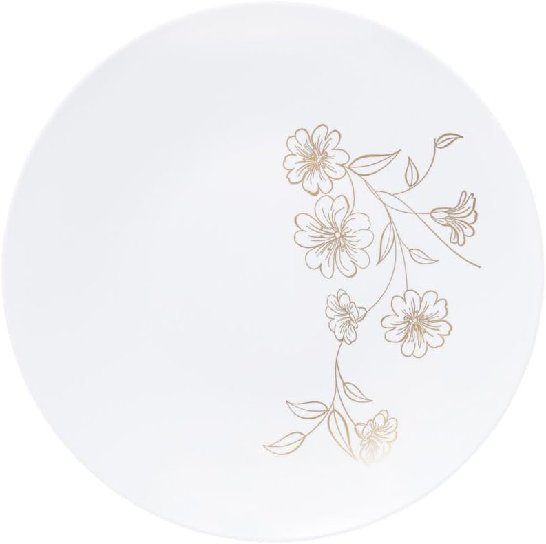 Assiette à dîner jetable en plastique, 30 invités