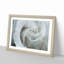 White Rose - Single Picture Frame Painting on MDF-56739386-56739387