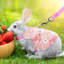 Ensemble de harnais et de lapin Rabbit-131216090