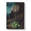 American Cowslip Plant - Wrapped Canvas Painting-55368659