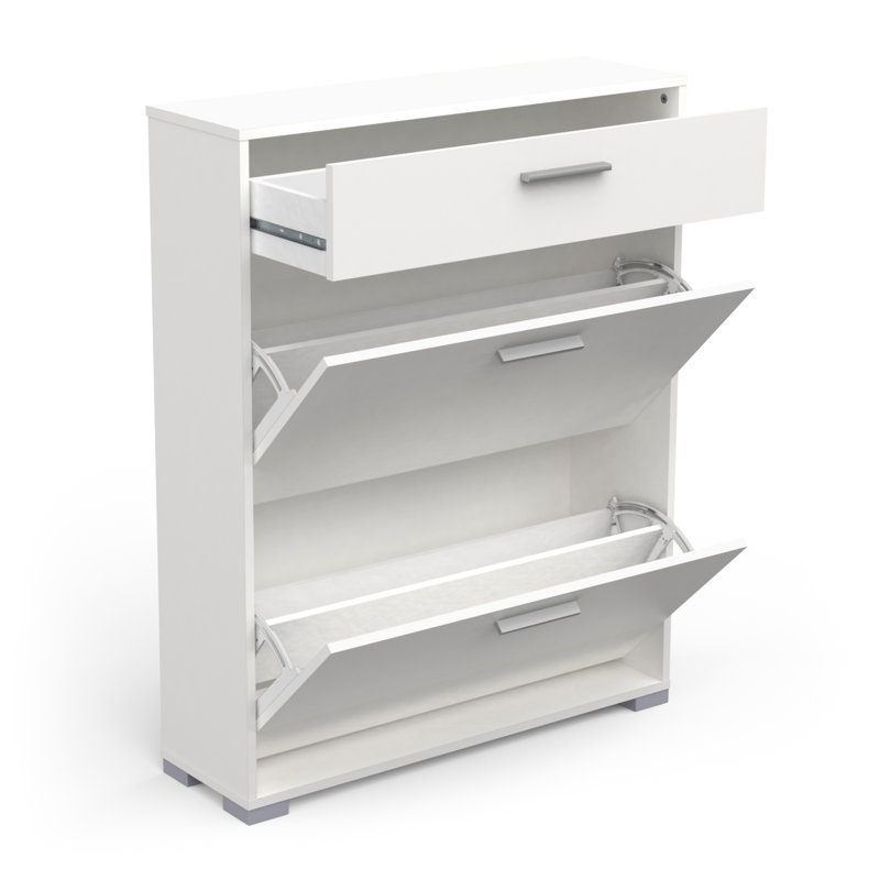 Barbaa 12 Pair Shoe Storage Cabinet
