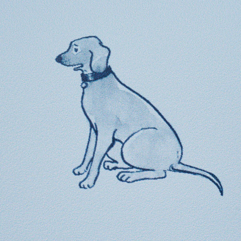 Schumacher X The New Yorker Good Dogs Everywhere Wallpaper, Sky/Navy Blue
