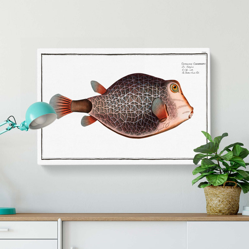 Knitted Trunk-Fish by M.E. Bloch - Wrapped Canvas, 50cm H x 76cm W x 3cm D