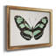 «Mint Butterfly II», cadre photo, impression sur toile