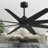 Ariella - Eight Blade Ceiling Fan-1776851491-1776851489