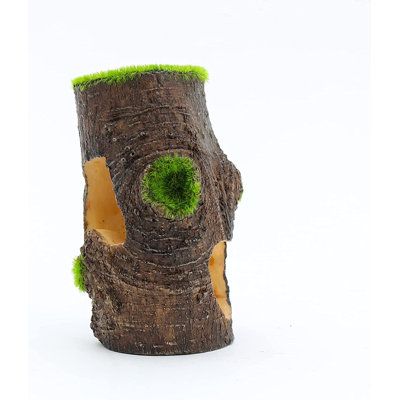 Aqua-flora Tree Base Aquarium Decoration With Glosso Seeds