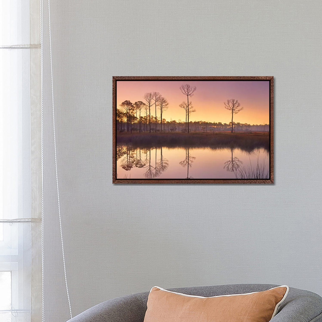 Pineland At Piney Point Near Hagen's Cove, Florida von Tim Fitzharris - Gallery-Wrapped Canvas Giclée