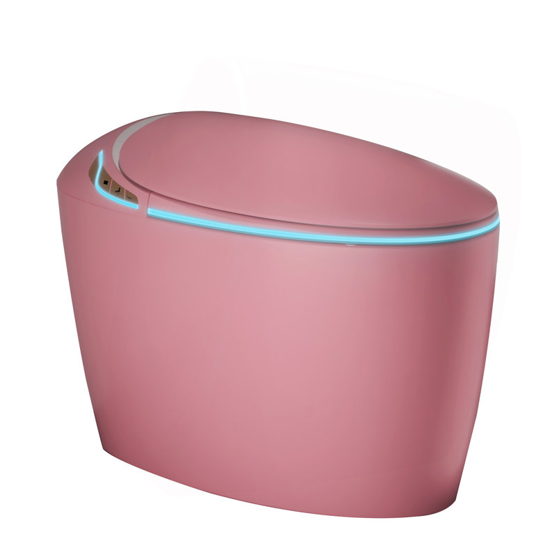 Unique Smart Toilet With Bidet Built In, Pink