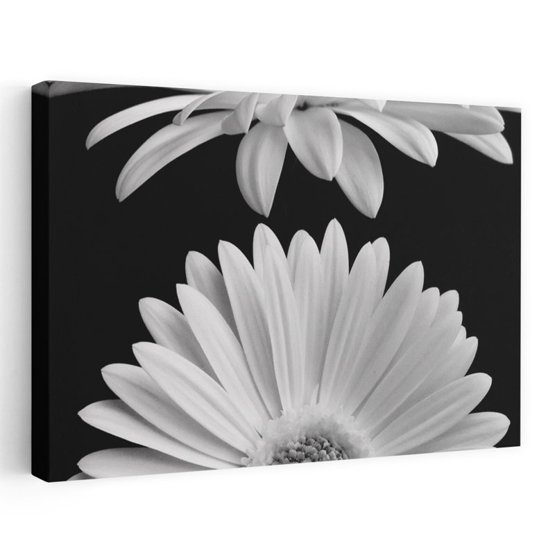 Marguerites, sérénité, sérénité, art floral contemporain, H 32 po x l 48 po