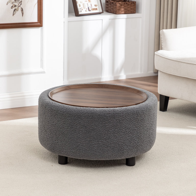 Pietsch Round Coffee Table with Storage