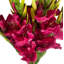 Leaf Design Large Artificial Gladioli Stems 115cm Faux Plant-114785208-114785210