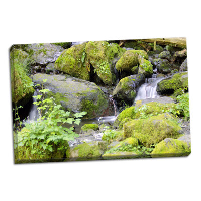 " Lake Quinalt Small Falls " by George Johnson