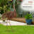 Medon Animals Weather Resistant Metal Garden Statue-1464216867