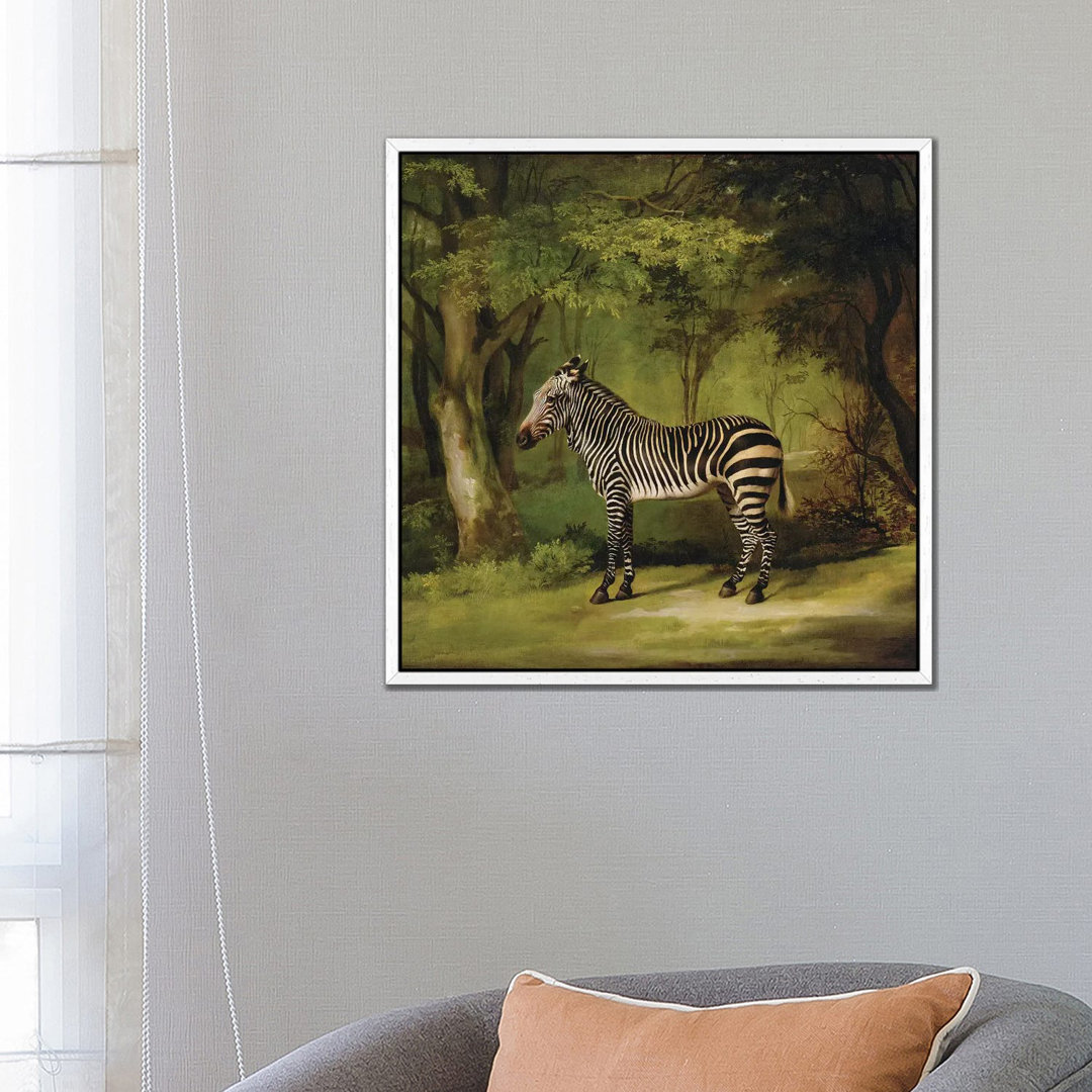 A Zebra, 1763 by George Stubbs - Painting on Canvas